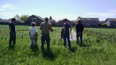 Ted leads a field walk with the intern crew (what we fondly call a Ted Talk)