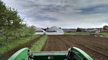Tilling under cover crop, one more swath to go, clouds rolling in