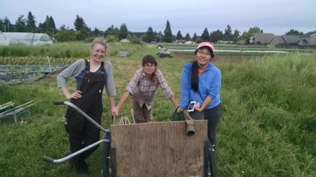 Alex, Sophie, and Mo after a day of weeding: strong farming women